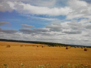 balles de paille au Cardonnet